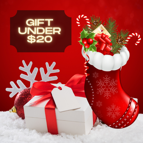 Gifts ideas under $20